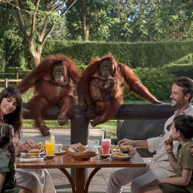 Breakfast with Orangutans, White Water Rafting, and Spa Tour