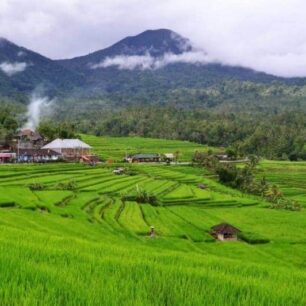 Bali UNESCO Heritage Sites Tour