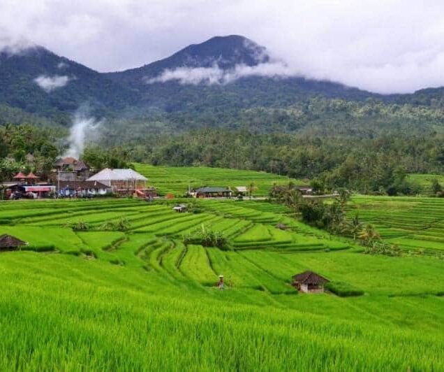 Bali UNESCO Heritage Sites Tour