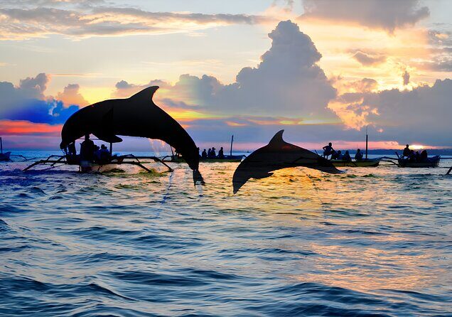 Best of North Bali Beach: Dolphin Watching, Snorkeling, and Breakfast – Exclusive Combo Package